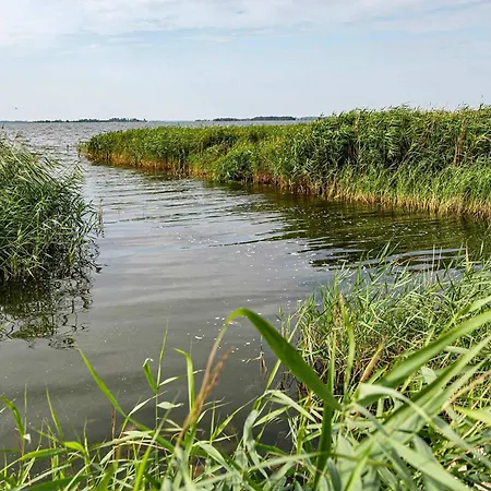 Nur 100m Zum Ostseeflair By Pro Lejlighed